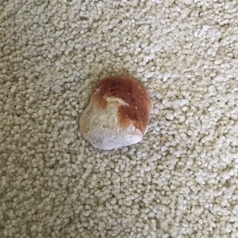 Polished Stone with Red and White Hues